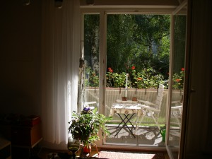 IMGP0456